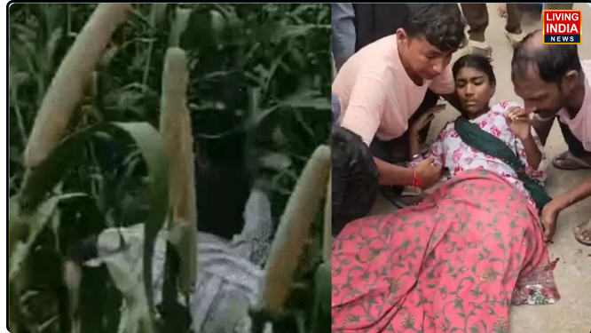 रेवाड़ी