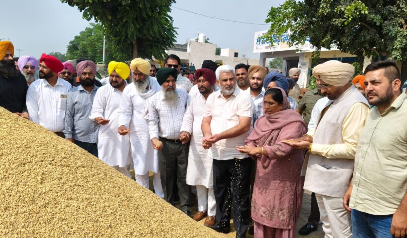 8.50 Lakh Metric Tonnes of paddy arrived in Punjab grain markets so far: Cabinet Minister Lal Chand Kataruchak