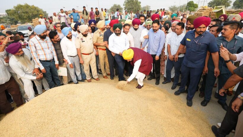 Punjab is ensuring hassle-free paddy procurement, with farmers receiving payments within 24 hours, special trains