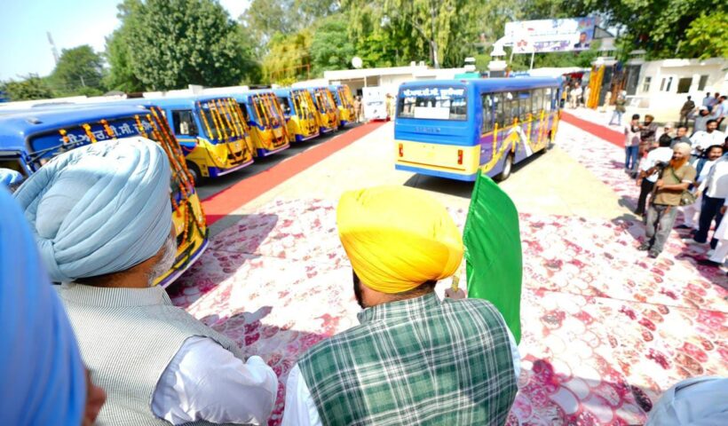 Mini Buses