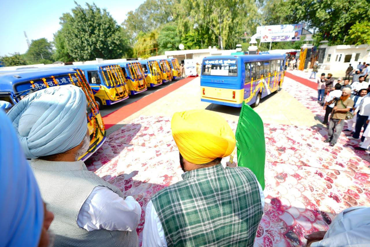 Mini Buses