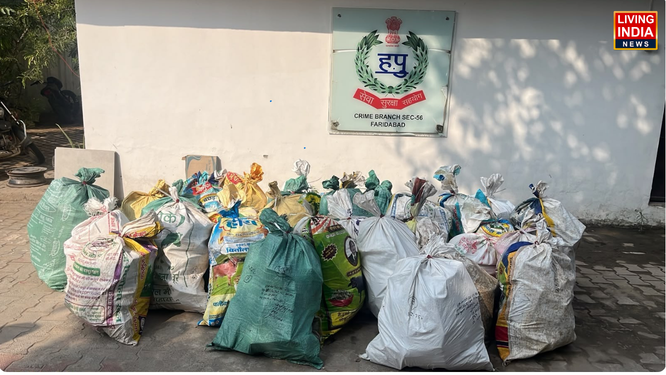 फरीदाबाद